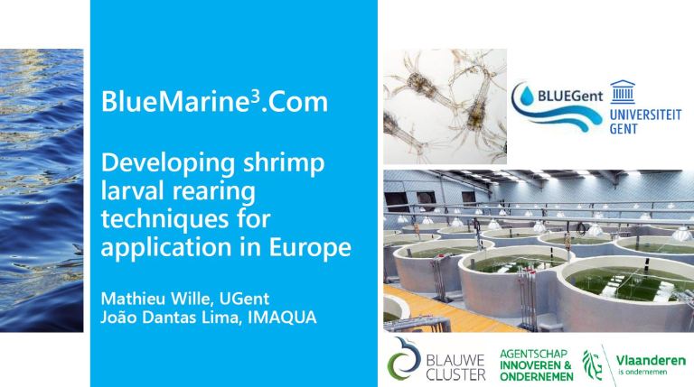 Mathieu Wille presenting Developing shirmp larval rearing techniques for application in Europe