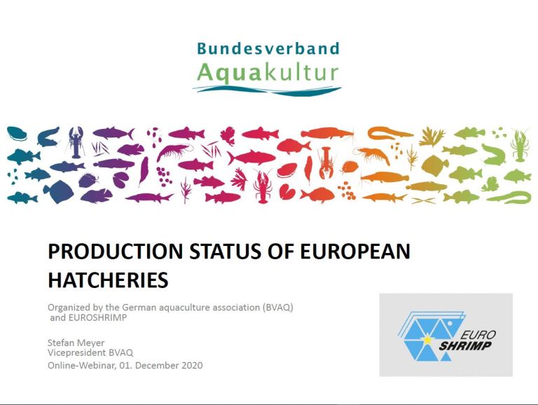 Stefan Meyer presenting Production Status of european Hatcheries