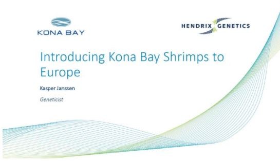 Kasper Jansen presenting Introducing Kona Bay Shrimps to Europe