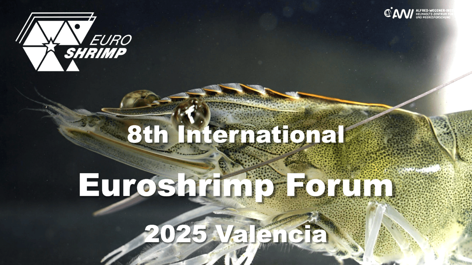 Euroshrimp 2025
