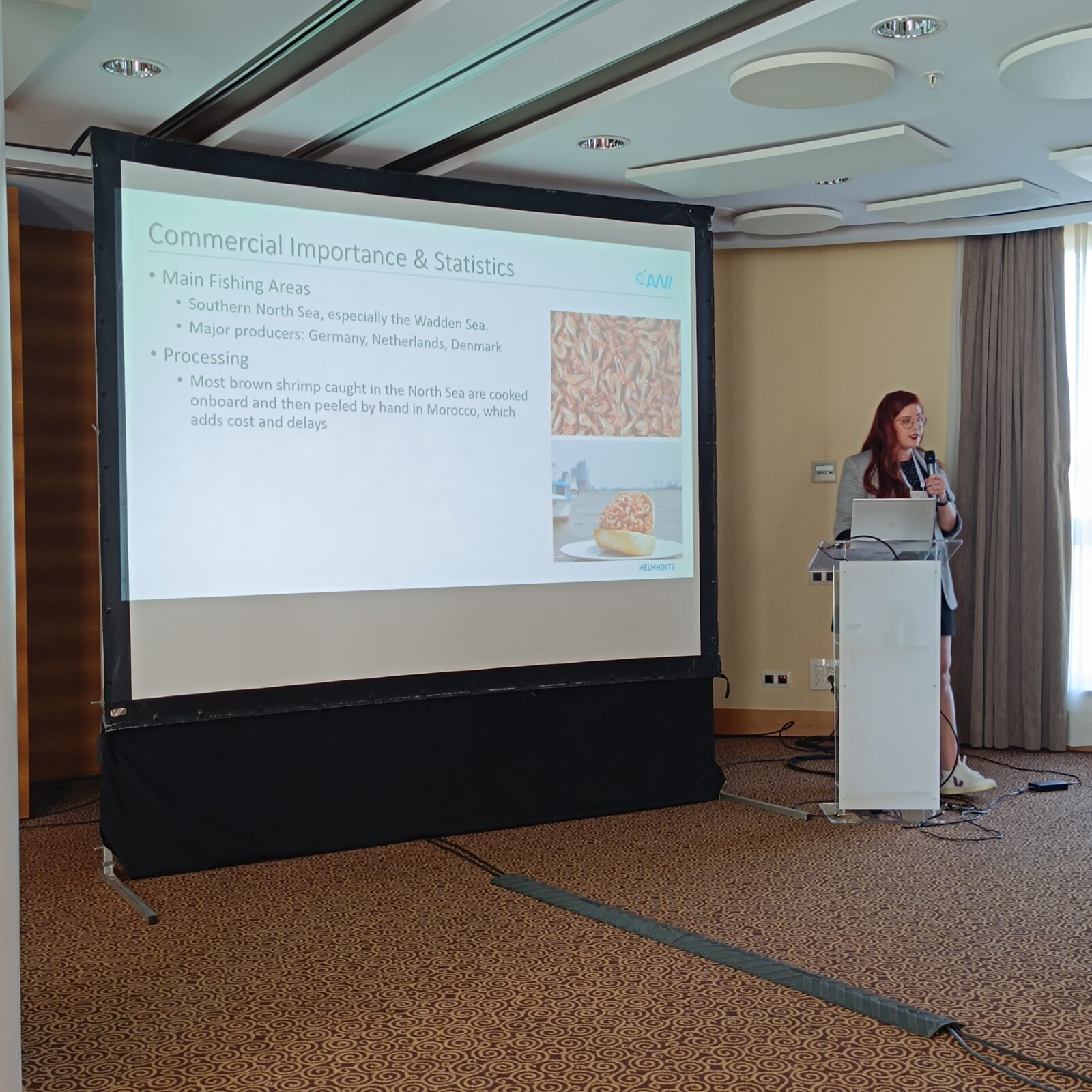 Isabela Pinheiro presenting